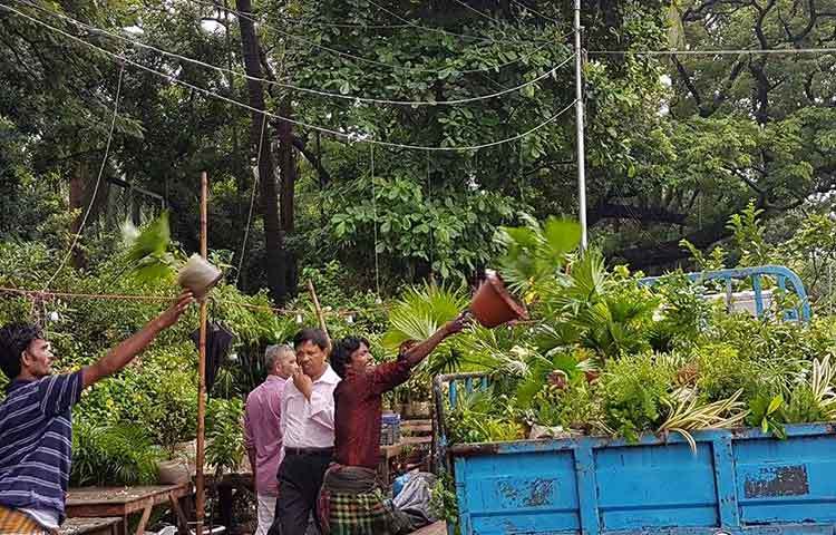 এ ধরনের নার্সারি রাজধানীর সবুজায়নে গুরুত্বপূর্ণ ভূমিকা পালন করছে। সেই অনেকের কর্মসংস্থানেরও ব্যবস্থাও হচ্ছে।