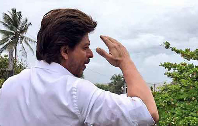 বাদশাহী ভঙ্গিতে ভক্তদের ঈদের শুভেচ্ছা জানাচ্ছেন বলিউড কিং খান।