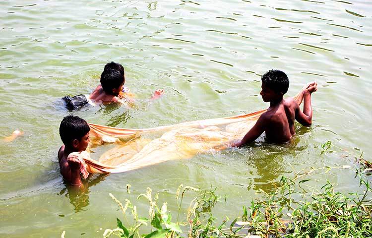 কেউ জাল দিয়ে মাছ ধরছে আবার কেউ গরম থেকে বাঁচতে ডুব-সাঁতার খেলছে। ছবি : রবিউল ইসলাম পলাশ