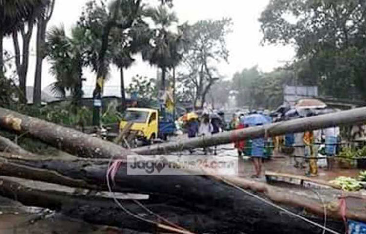 &lsquo;মোরা&rsquo;র আঘাতে কুতুবদিয়ায় ৬ হাজার বাড়িঘর বিধ্বস্ত হয়েছে। ক্ষতিগ্রস্ত হয়েছেন প্রায় ৩০ হাজার মানুষ। তবে সেখানে কোনো হতাহতের খবর পাওয়া যায়নি।