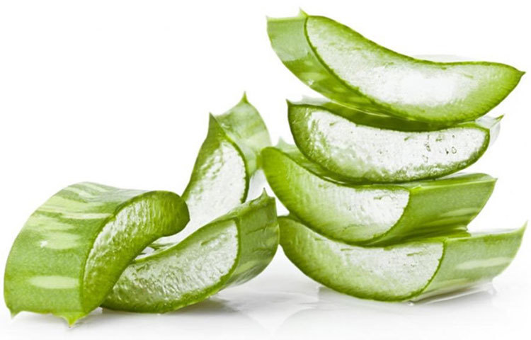 প্রতিদিন এক টুকরা করে অ্যালোভেরা জুস খেলে হজম শক্তি বাড়ে।