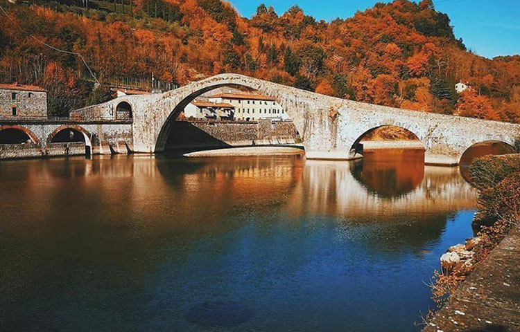 অানুশকার মুখপাত্র অবশ্য বিয়ের খবরকে গুজব বলে জানিয়েছিলেন। তবে এই জুটি এখানেই একটি রিসোর্ট বুকিং করেছেন বলে জানাগেছে।