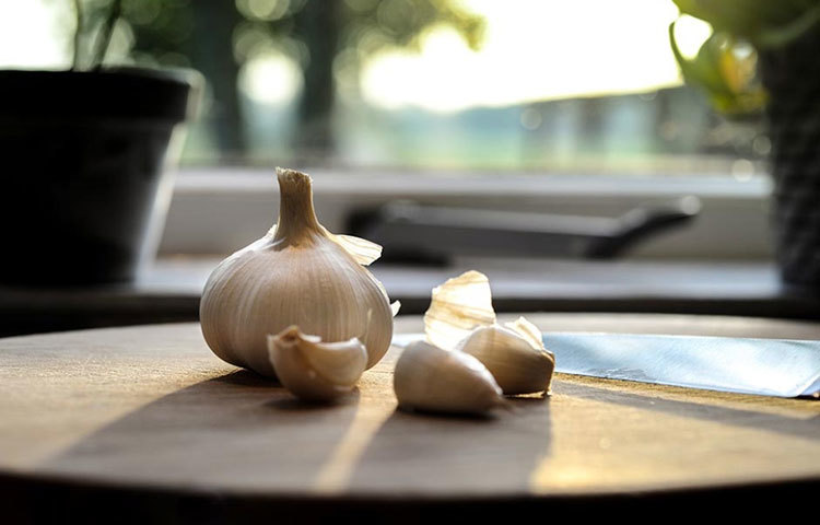 অ্যালোভেরা জেলের সঙ্গে ২-৩টি রসুন থেঁতো করে মিশিয়ে দিন। এটি ব্রণতে লাগান। ১০ মিনিট রেখে ধুয়ে ফেলুন।