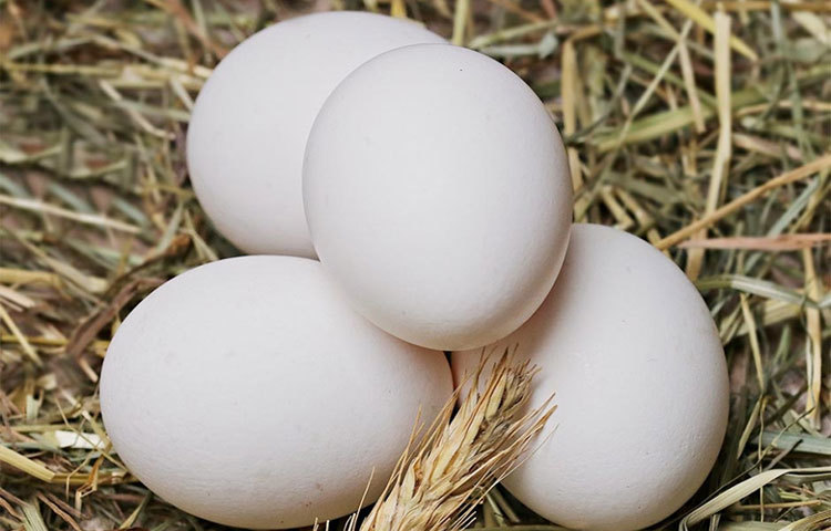 ২-৩ টি ডিমের সাদা অংশ নিয়ে ভাল করে ফেটিয়ে নিন যাতে ফুলে তা ক্রিমের মতো হয়ে যায়। মুখ ধুয়ে মিশ্রণটা মুখে ৩-৪ টি পরত লাগান। ২০ মিনিট রেখে ধুয়ে নিন।