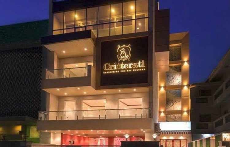পোষা কুকরের জন্য ভারতের প্রথম বিলাসবহুল হোটেল ‘ক্রিটারাটি’ খুলেছে গুরুগ্রামে।