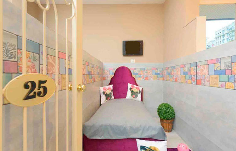 এই হোটেলে কুকুরের জন্য রয়েছে বিলাসবহুল স্যুট। যেখানে তাদের জন্য রয়েছে টিভি, নরম বিছানা, ভেলভেটে মোড়া ছাদ, আলাদা আলাদা ব্যালকনি।