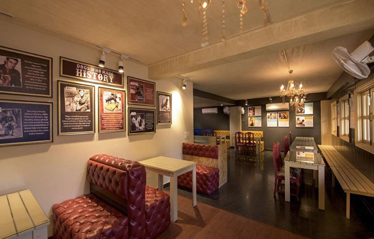 ‘ক্রিটারাটি’-তে কুকুরদের জন্য রয়েছে একটি বিলাসবহুল ক্যাফে এবং রেস্তোরাঁ।