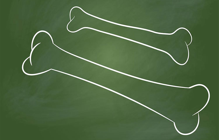 হাড় শক্ত হয়। কারণ, মাছের ডিমের মধ্যে থাকে ভিটামিন ডি।