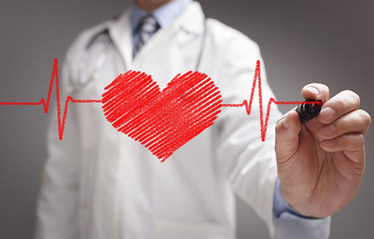 ভিটামিন ডি থাকার ফলে হার্টের অসুখ যাদের, তাদের পক্ষেও মাছের ডিম ভাল।