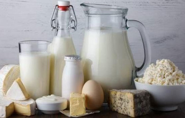 ফ্যাট ফ্রি দুধ, দই, মাখন খেতে পারেন ভুড়ি কমানোর জন্য, এতে ক্যান্সার, ওবেসিটি কমার সম্ভাবনা থাকে।