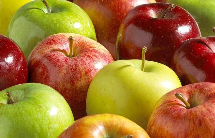 আপেল : আপেলে থাকে ফাইবার এবং পানি। এই পুষ্টি উপাদান বাচ্চাদের লম্বা হতে সাহায্য করে।