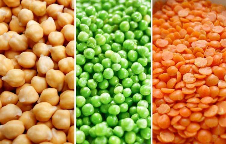 মটরশুঁটি, ছোলা, মুসুর — এই প্রকার ডাল-জাতীয় খাবারে প্রচুর পরিমাণে প্রোটিন, ফাইবার, অ্যান্টি অক্সিডেন্টস, ভিটামিন বি এবং লৌহ উপাদান রয়েছে যা শরীরের কোষের বিভাজন ঘটিয়ে বৃদ্ধিতে সহায়তা করে থাকে।