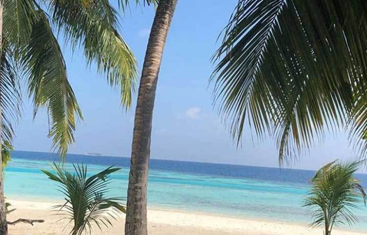 শান্ত সমুদ্রতট। এই সমুদ্রতটে ঘুরে বেড়াচ্ছেন জহির-সাগরিকা।