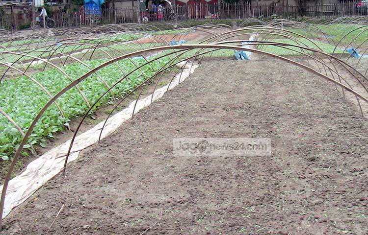 হারুনের চারা উৎপাদনের ব্যবসার প্রতি উদ্বদ্ধু হয়ে এই গ্রামেরই জীবন দেবনাথ, আব্দুল ওহাব ও মাসুদ রানাসহ আরও অনেকে এই চারা উৎপাদনের ব্যবসা শুরু করেছেন।