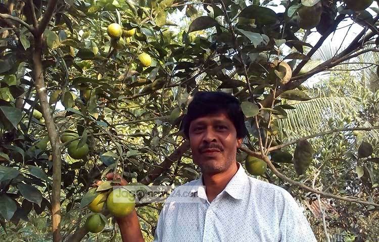 মাল্টা চাষী অচিন্ত কুমার নিজের বাগানের মাল্টা হাতে নিয়ে জাগো নিউজের ক্যামেরায়বন্দি হয়েছে। ছবি : হাসান মামুন