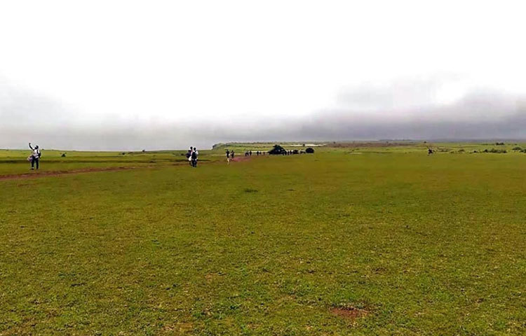 এমন সবুজে ঘেরা প্রান্তরে শুটিং হয়েছে পদ্মাবতী ছবির।