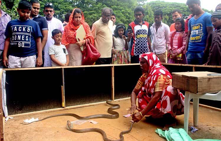 সাপের খেলা দেখছে ছোট বড় সবাই মিলে। বৃহস্পতিবার সকাল থেকে শুরু হওয়া এ উৎসব শেষ হবে শনিবার। ছবি : বিপ্লব দিক্ষৎ