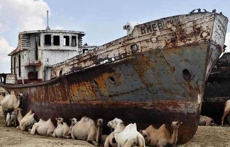 অরাল সি-কাজাকিস্তান ও উজবেকিস্তানের সীমান্ত : এক সময় বিশ্বের চতুর্থ বৃহত্তম লেক ছিল এটি। ২০০৭ সালে দেখা যায়, আগের থেকে অন্তত ১০ শতাংশ শুকিয়ে গিয়েছে অরাল সি। খুব শীঘ্রই হয়তো এর অস্বস্তিও বিলুপ্ত হয়ে যাবে পৃথিবী থেকে।