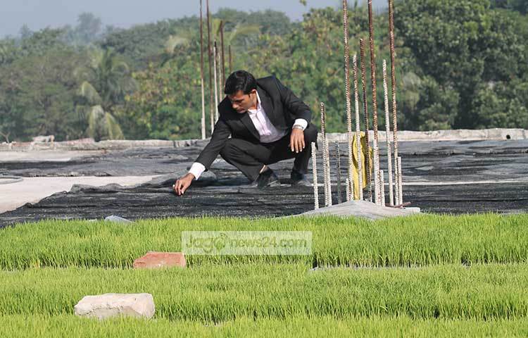 কৃষি অফিসের উপসহকারী তুহিনের পরামর্শে ঘরের ছাদে এ ট্রে পদ্ধতিতে ধানের বীজতলা তৈরি করেছেন খবির উদ্দিন।