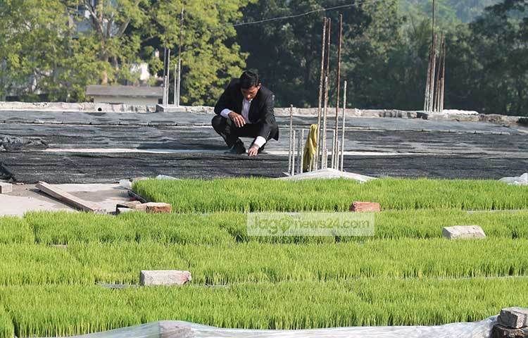 তিনি আরো জানান, বাড়ির মেয়েরা অবসর সময়ে এ বীজতলা তৈরি করতে পারে। তারা সময় দিতে পারে।