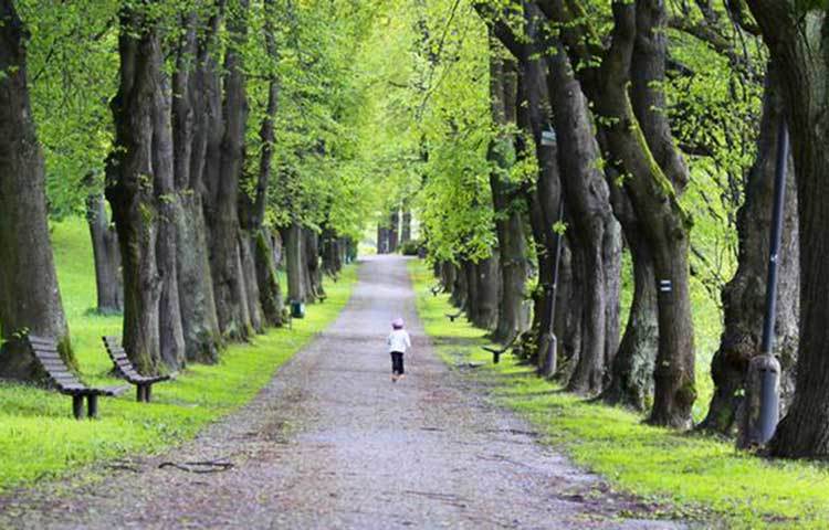 সবুজ প্রকৃতি সুস্থ রাখে : নেদারল্যান্ডের গবেষকরা খুঁজে বের করেছেন যে, সবুজ রং মানুষের নার্ভকে একদিকে যেমন শান্ত রাখে তেমনি আনন্দিতও করে।