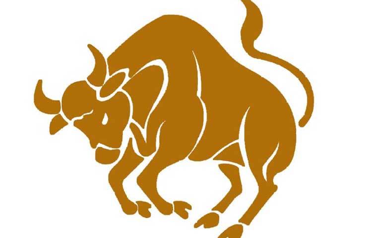 বৃষ : এরা প্রচুর পরিমাণে ইনভেস্ট করে। জীবনে বিলাসিতা করতে পছন্দ করে। এবং দান-ধ্যানেও খুবই নাম এদের।