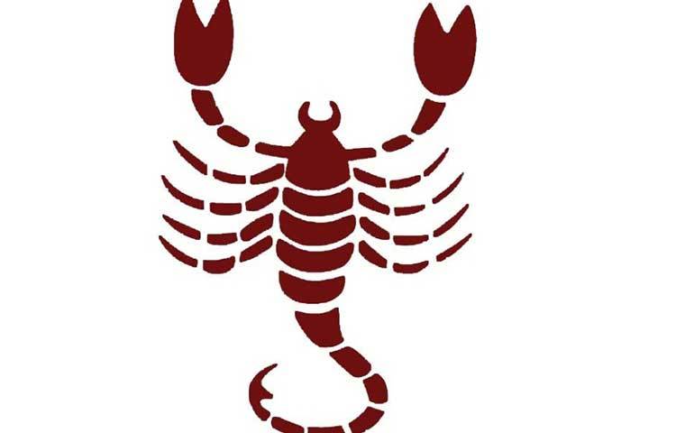 বৃশ্চিক : সঞ্চয় এদের লক্ষ্য নয়। তবে, যদি মনে করে, তা হলে টাকা জমানোটা কোনও ব্যাপারই নয়।