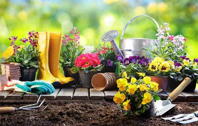 টি ব্যাগের চা পাতা টবের মাটিতে মিশিয়ে দিন। এতে মাটি উর্বর হয়।