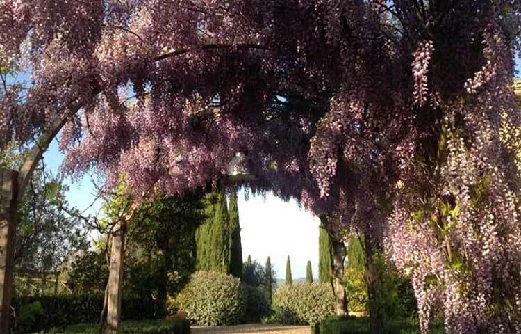 ফোর্বসের তালিকায় বিশ্বের প্রথম ২০ ‘এক্সপেনসিভ’ হলিডে ডেস্টিনেশনের মধ্যে দ্বিতীয় স্থানে রয়েছে তাস্কানির নাম।