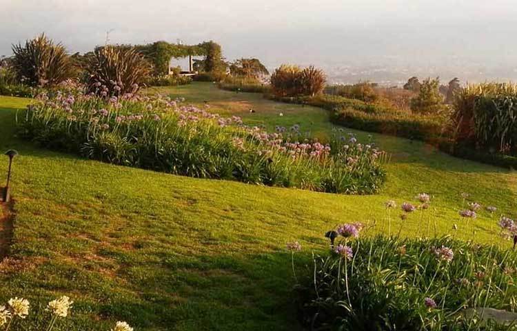 হসেইন্ডা সান্টা ইনস : কোস্টারিকার তুরিআলবায় পাহাড় ও ভ্যালিতে ঘেরা ৩০০ একর জমির উপর রয়েছে এই হলিডে ডেস্টিনেশন। প্রায় ১৯ লাখ ২ হাজার ৫০০ ডলার এখানকার প্রতি সপ্তাহের ভাড়া।