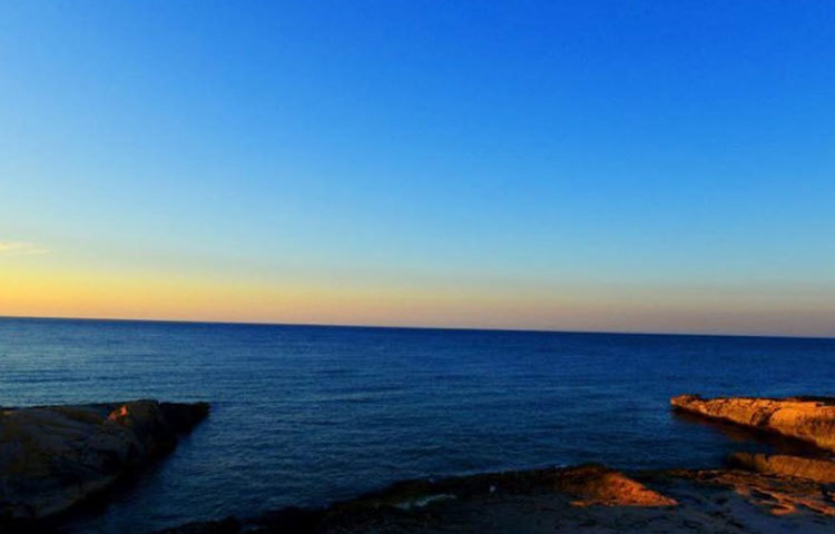 সকালে উঠে যেদিন মনটা শান্ত থাকে, সেই দিন এই ছবিটির দিকে তাকিয়ে থাকেন তিনি। অমিতাভের হাতে তোলা একটি অমূল্য ছবি।