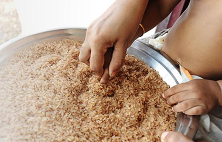 বিদ্যারম্ভ : তামিলনাড়ু, কেরালা ও কর্নাটকে বিজয়া দশমীর দিন বিদ্যারম্ভ পালিত হয়। এদিন সকালে পূজার পর বই, খাতা দেবীকে নিবেদন করে বিদ্যার্থীরা। একে বলা হয় পূজা এদুপ্পু। শিশুদের এ দিন চাল বা বালির উপর দাগ কেটে প্রথম অক্ষর চেনানো হয়।