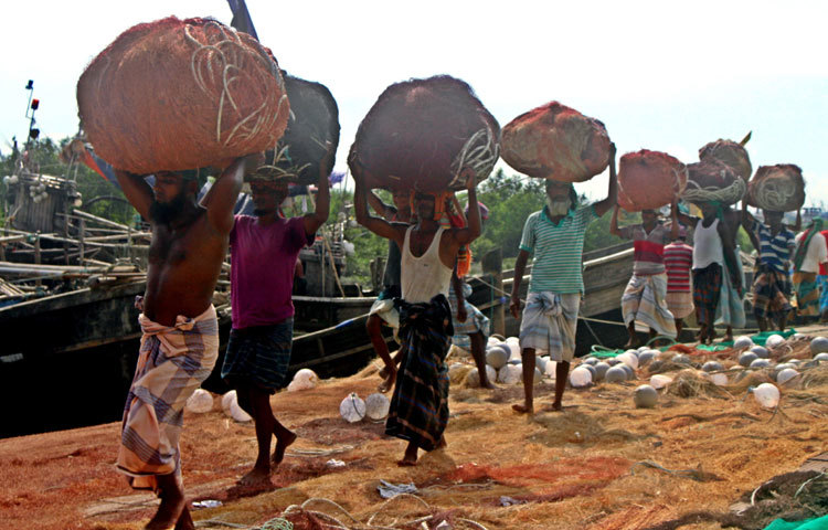 দল বেঁধে জেলেরা জাল কূলে তুলে আনছেন। নদীর পাড়ে মাছ ধরার ট্রলারগুলো স্থির দাঁড়িয়ে আছে। ছবি : বিপ্লব দিক্ষিৎ