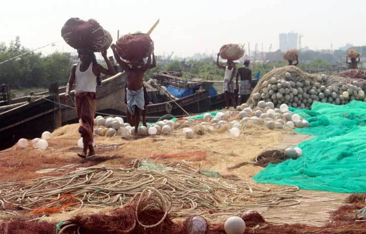 জাল রোদে শুকাতে দেওয়া হয়েছে। ছবি : বিপ্লব দিক্ষিৎ