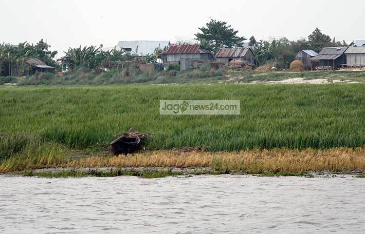 হেমন্তের এমন অপরূপ সৌন্দর্যে মুগ্ধ হয়ে প্রায় সব কবি-সাহিত্যিকরাই লিখেছেন গল্প, কবিতা ও গান। ছবি : রবিউল ইসলাম পলাশ