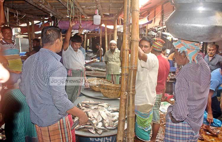 পাইকারি ও খুচরা মাছ ব্যবসায়ীরা জানান, সরকারি নিষেধাজ্ঞা থাকায় সারা দেশে ২২ দিন ইলিশ মাছ বিক্রি হয়নি। এখন জেলেরা ইলিশ ধরছে। ছবি : বিপ্লব দিক্ষিৎ