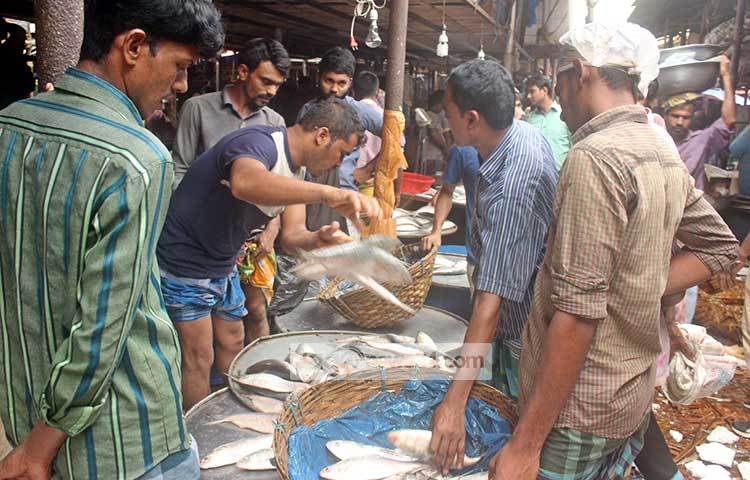 পাইকারি দামে ইলিশ বিক্রি করছেন এক বিক্রেতা। ছবি : বিপ্লব দিক্ষিৎ