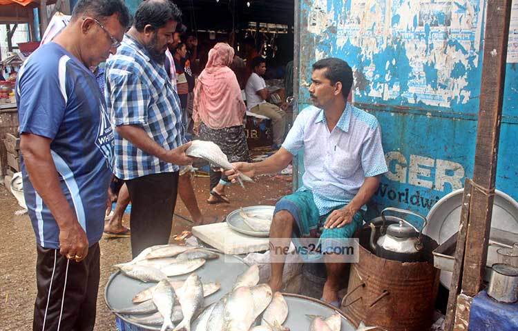 খুচরা মাছ বিক্রেতা মাসুদ জানান, প্রতিদিনই ইলিশের দাম কমছে। নদীতে ইলিশ বেশি ধরা পড়ায় বাজারে সরবারহ ভাল। ছবি : বিপ্লব দিক্ষিৎ
