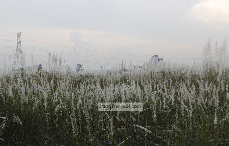 কাশফুলের রাজ্য থেকে দেখা যাচ্ছে রাজধানীর বুকে দাঁড়িয়ে আছে সুউচ্চ ভবনগুলো। ছবি : তারিকুর রহমান খান