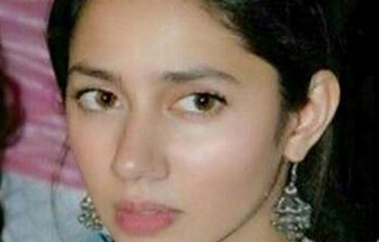 অভিনয় জগতে প্রবেশের আগে রেস্তোরাঁয় ওয়েট্রেসের কাজ করতেন মাহিরা। ঘর ঝাড়ু দেওয়া থেকে বাথরুম পরিষ্কার সব কাজই করতে হয়েছে মাহিরাকে।