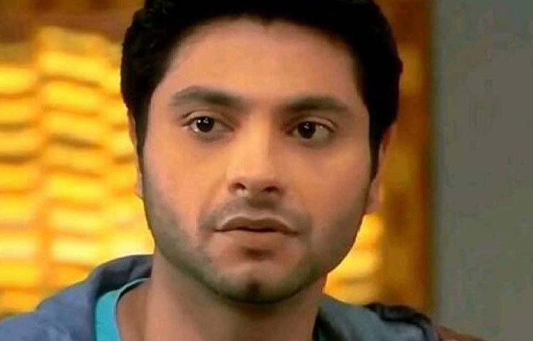 মিশল রাহেজা : আমেরিকা থেকে পড়াশোনা শেষ করে হিন্দি ধারাবাহিকে প্রবেশ করেন তিনি। মিশল প্রতি পর্বে অভিনয়ের জন্য ১ লাখ ৬০ হাজার টাকা পারিশ্রমিক নেন।