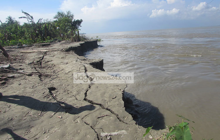 পদ্মা নদীর ভাঙনে শরীয়তপুর মানচিত্র থেকে হারিয়ে যাচ্ছে জাজিরা ও নড়িয়া উপজেলা। ছবি : মো. ছগির হোসেন