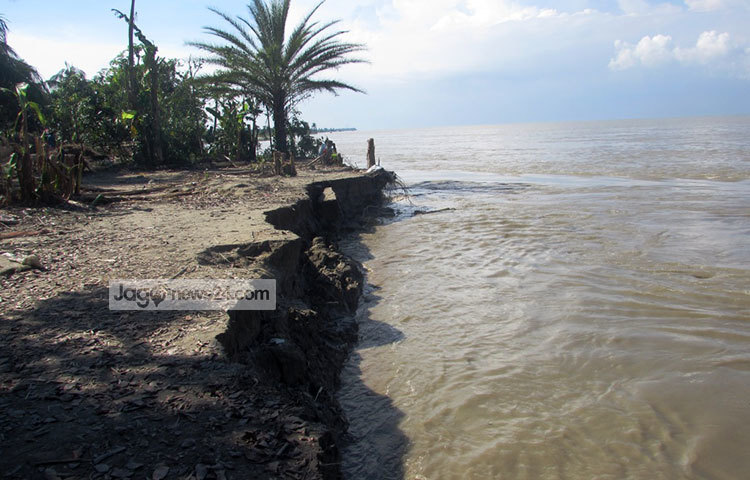 ভাঙন রোধে জরুরি পদক্ষেপ নেয়ার দাবি জানিয়েছে পদ্মা তীরবর্তী মানুষ। ছবি : মো. ছগির হোসেন