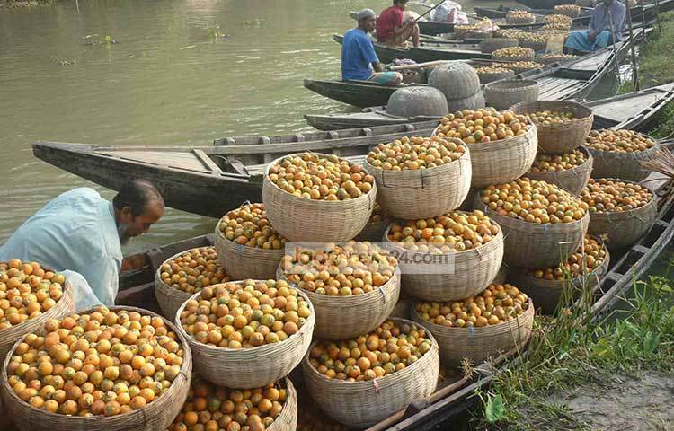 নৌকায় করে সুপারি কিনে নিয়ে যাচ্ছেন পাইকারি ক্রেতারা। ছবি : হাসান মামুন
