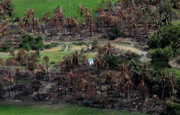 আগুন থেকে রেহাই পায়নি রোহিঙ্গা গ্রামগুলোতে দাঁড়িয়ে থাকা গাছপালাও। বার্তাসংস্থা রয়টার্স পুড়ে যাওয়া উত্তর রাখাইনের মংডুর একটি গ্রামে সেনাবাহিনী অগ্নি-তাণ্ডবের ধ্বংসাবশেষ তুলে ধরেছে ছবিতে।
