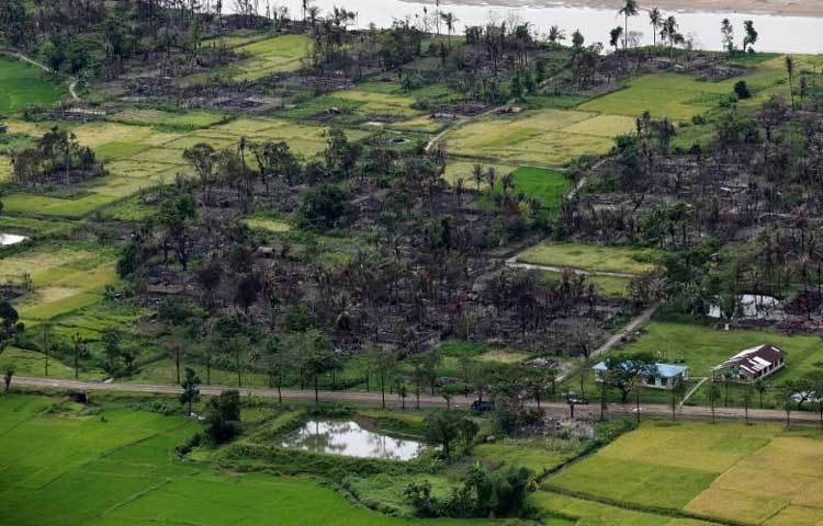 বাংলাদেশে পালিয়ে আসা রোহিঙ্গারা মিয়ানমার সেনাবাহিনীর বিরুদ্ধে ভয়াবহ নৃশংস হত্যাযজ্ঞ, ধর্ষণ, দলগত ধর্ষণ ও গ্রামের পর গ্রাম পুড়িয়ে দেয়ার অভিযোগ করছেন।