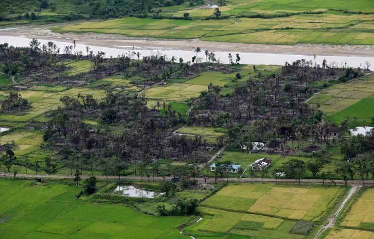 স্যাটেলাইটে রাখাইনের ছবি সংগ্রহের পর মানবাধিবার সংগঠনগুলো বলছে, সহিংসতায় উত্তর রাখাইনের চার শতাধিক গ্রামের অর্ধেকের বেশি পুড়ে গেছে।