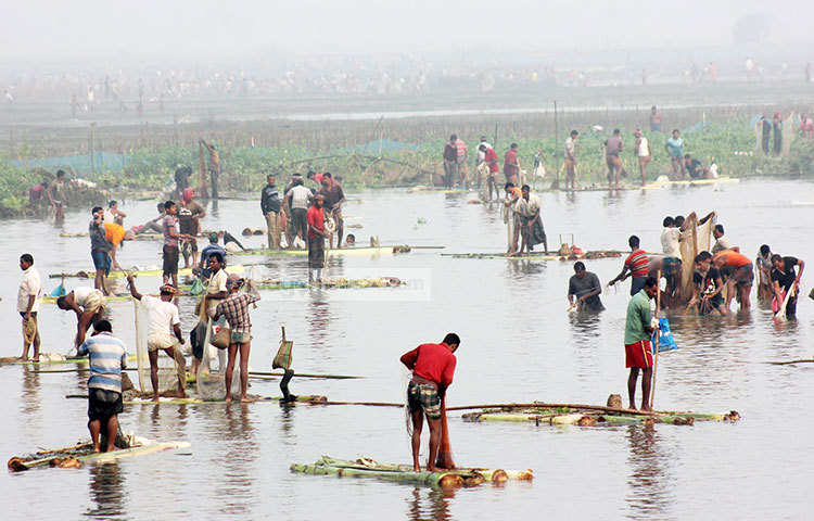 ঠাকুরগাঁও শুক নদীর তীরে বুড়ির বাঁধ এলাকায় হাজার হাজার মানুষ জাল, পলো ও মাছ রাখার পাত্র  নিয়ে মাছ ধরার উৎসবে মেতেছে। ছবি : মো. রবিউল এহসান রিপন