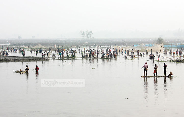 সোমবার (১৬ অক্টোবর) ভোরে বুড়ির বাঁধ এলাকায় গিয়ে দেখা যায়, বাঁধের গেট খুলে দেয়ায় মাছ ধরতে নামে কয়েক গ্রামের শত শত মানুষ। বাঁধের ওপর দাঁড়িয়ে তাদের উৎসাহ দিচ্ছেন তাদের বন্ধু-বান্ধব ও স্বজনেরা। ছবি : মো: রবিউল এহসান রিপন