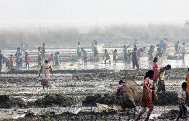 বুড়ির বাঁধ এলাকা ঘুরে দেখা যায় মাছ ধরার জন্য গ্রাম ও শহরের শত শত মানুষ ব্যস্ত। নারী ও শিশুসহ বৃদ্ধরাও রয়েছে এ দলে। ছবি : মো. রবিউল এহসান রিপন